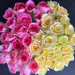 ＊80本の薔薇の花束＊30㎝ 80本　黄色オレンジMIXラッピング込❗️傘寿・米寿 80本の薔薇の花束＊30㎝ 80本 黄色オレンジMIXラッピング込❗️傘寿