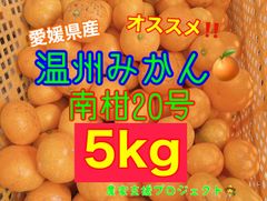 温州みかん5キロ