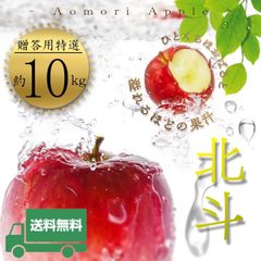 青森県産 ＂ 北斗 ＂ りんご【贈答用特選10kg】【化粧箱】【送料無料】【産地直送】お歳暮 ギフト リンゴ 林檎