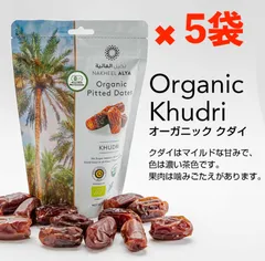 サウジアラビア産アソートデーツ ハニー・ウー・デーツ 500g サウジアラビア産 ドライフルーツ