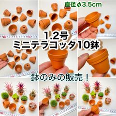 ミニテラコッタ鉢-1.2号(外径φ3.5×高さ3cm)×10鉢セット※鉢のみ＊エアプランツ＠フラワーショップ江口