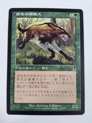 野生の雑種犬/Wild Mongrel 日本語 4枚 MTG - メルカリ