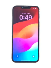 APPLE　IPHONE　13　PRO　MAX　MLJ83J/A　スマートフォン　256GB　SOFTBANK　SIMロックなし　GRAPHITE　本体のみ　利用制限〇　353027947562662　FACE　ID不具合あり