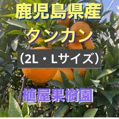 2024年最新】屋久島 たんかんの人気アイテム - メルカリ