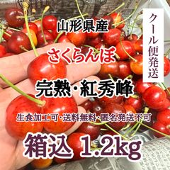 【クール便】山形県産 さくらんぼ 紅秀峰  箱込1.2kg 訳あり 送料無料 加工 生食