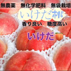 いけだ　山形県産　高糖度　60サイズ箱満杯　桃　もも　モモ