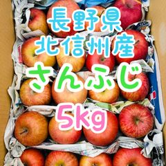 長野県　ふじ　約4.4キロ17玉入　りんご　サンフジ　りんご