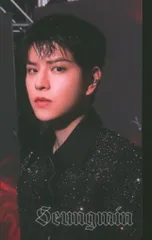 StrayKids アップグレードグッズ Seungmin 2024 dominATE JAPAN