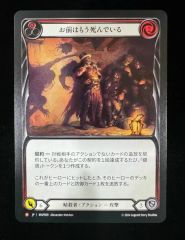 フレッシュアンドブラッド　虚弱症の魔本　fab Flesh & Blood