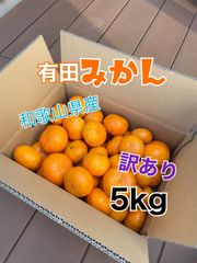 有田みかん　訳あり　５キロ