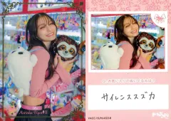 marinka_box_prm_bain2_800x.jpg