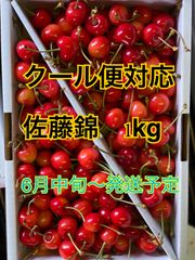 本日最終日　クール便用　山形県　東根産　さくらんぼ　佐藤錦