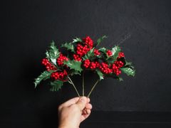 X'masデコレーション材料／リリックホリーピックRED（三本一束）3個