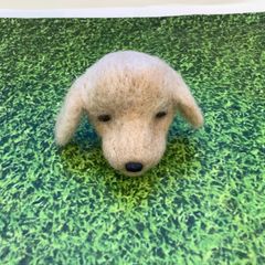 HA9-049　羊毛フェルト　ゴールデンレトリバー　ラブラドール　ブローチ　犬