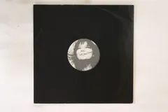 Björk/The Best Mixes....レコードLP1999年ビョーク Björk – The Best Mixes From The Album - Debut For All The