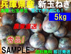 【兵庫県産】新玉ねぎ　5kg　農家直送　早生　サラダ玉葱　新鮮　朝採り　名産