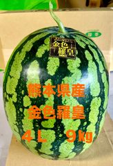 【産地直送・金色大玉すいか・即日発送可】熊本県産大玉スイカ　金色羅皇４Ｌ（９㎏）　正規品　秀品