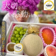 【贈答用に！】フルーツ盛り合わせ