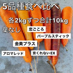 フルーツ人参 5品種 食べ比べ 10kg 葉なし