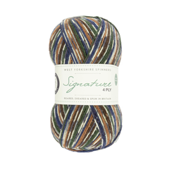 WYS  4ply Signature Countrybirds「Mallard」