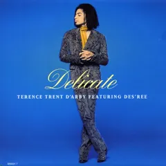 2025年最新】terence trent d'arbyの人気アイテム - メルカリ