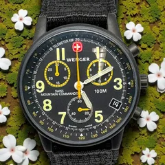 2025年最新】WENGER 536の人気アイテム - メルカリ