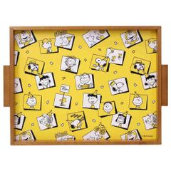 昭和レトロ1960's ヴィンテージ PEANUTS スヌーピーメタルTVトレイ