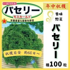 【野菜の種】ナスのコンパニオンプランツにも！「パセリ」種１００粒～年中収穫～