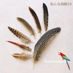 ◾️⭐︎【色んな羽根19】 羽根 インテリア DIY ドライフラワー  装飾スワッグ