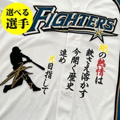 阪神タイガース 大山 + 梅野 刺繍ワッペン 5点セット【黒】応援歌 シルエット