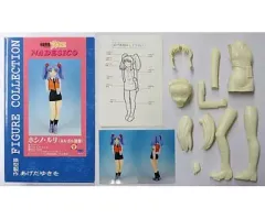 【中古】フィギュア ホシノ・ルリ(ネルガル制服) 「機動戦艦ナデシコ」 1/4 レジンキャストキット  のサムネイル