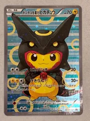 2025年最新】ポンチョを着たピカチュウ レックウザの人気
