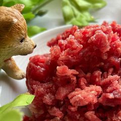国産馬肉お試しセット2