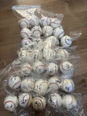 2025年最新】ラミレスサインの人気アイテム - メルカリ