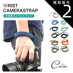 Item thumbnail for item 7477fba0-3d82-4a22-8acf-83cd0476294f