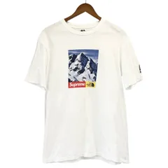Supreme×THE NORTH FACE シュプリーム ザノースフェイス 17AW Mountain Tee プリントTシャツ NT81702I 14083