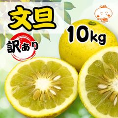 愛媛県産文旦 (１０ｋｇ)　訳あり大小