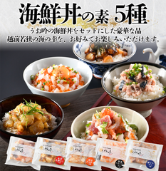 海鮮丼の素・全５種セット（恵びす・開運イカいくら・越前タコめし・鯛めし・サバとろめし）
