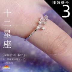 種類3:双子座 リング 指輪 レディース フリーサイズ 金属アレルギー 指先に夜空を彩る。十二星座天体図リング チェーン アクセサリー 925シルバー スターリングシルバー シルバー 十二星座 星 星座 誕生日 きれいめ プレゼント シンプル n_marai 