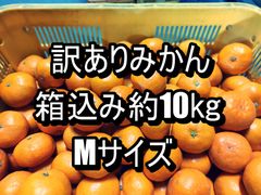 訳ありみかん　箱込み約10kg　Ｍサイズ