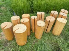 丸太２個セット (直径15～19cm 高さ45㎝) 自然木　スツール　木　ウッド 檜 インテリア 台 園芸のサムネイル