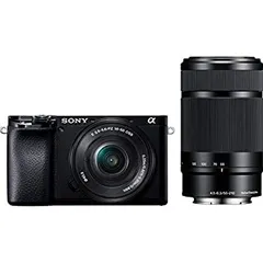 2025年最新】α6100 ダブルズームレンズキットの人気アイテム - メルカリ