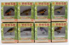 2025年最新】野鳥名鑑の人気アイテム - メルカリ