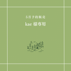 【kae 様専用】