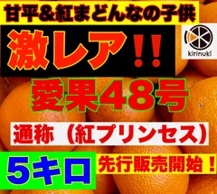 2024年最新】愛果48号の人気アイテム - メルカリ