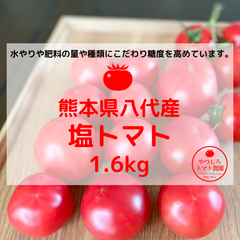 日本一の生産地 熊本県八代市産「塩トマト」