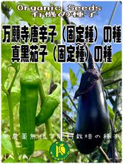 万願寺唐辛子の種子20粒と早生真黒茄子（ナス）の種子30粒　無農薬無化学肥料栽培のタネ