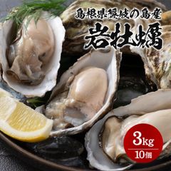 【隠岐の島産】岩牡蠣（養殖）3kg(10個) サイズ不選別