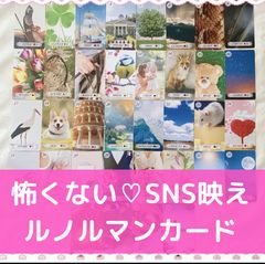 新品 猫の洋館 ルノルマンカード 全36枚 追加料金でケースあり Amazon.co.jp: LOLOVIVI LENORMAND ORACLE CARDS 猫のルノルマン