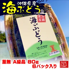 2024年最新】海ぶどう 茎なしの人気アイテム - メルカリ